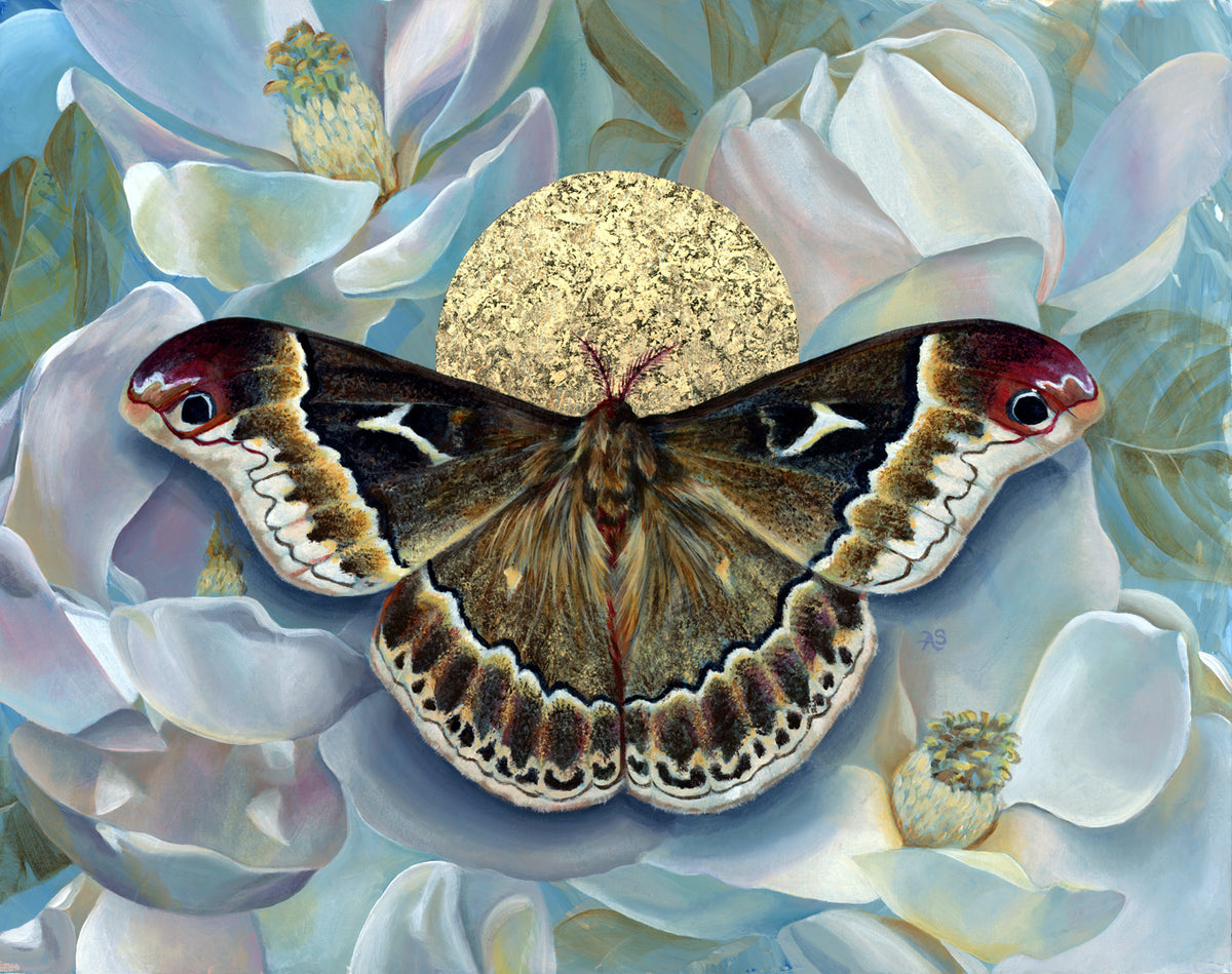 "Truth" Sweetbay Silkmoth Art Print