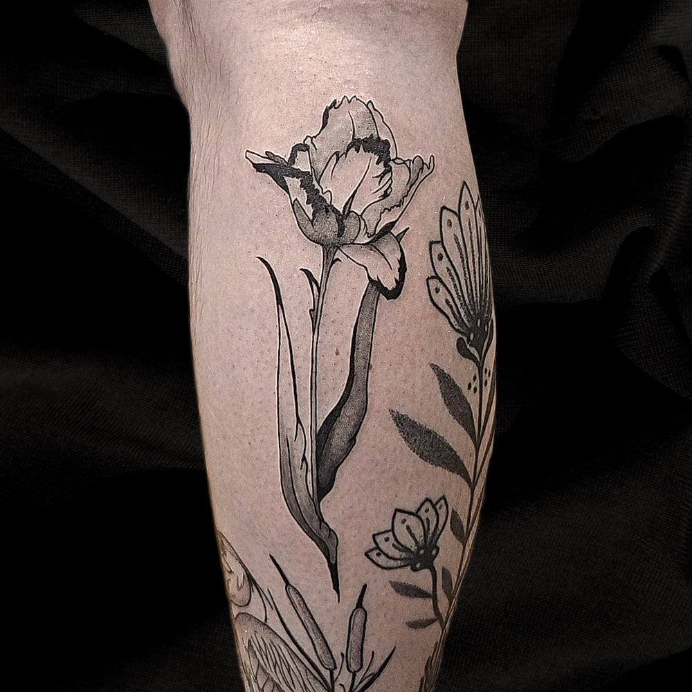 Tulip Tattoo by Mary Kuzmin