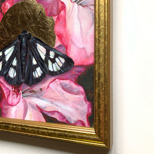 moth pink flowers embellished print gold frame