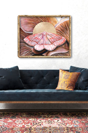 'Unity' barred red moth and oyster mushroom art print on wall