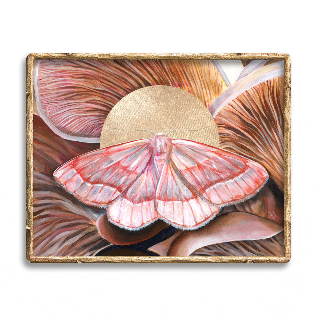 &#39;Unity&#39; barred red moth and oyster mushroom art print