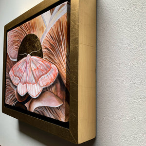 barred red moth oyster mushroom painting gold leaf float frame detail