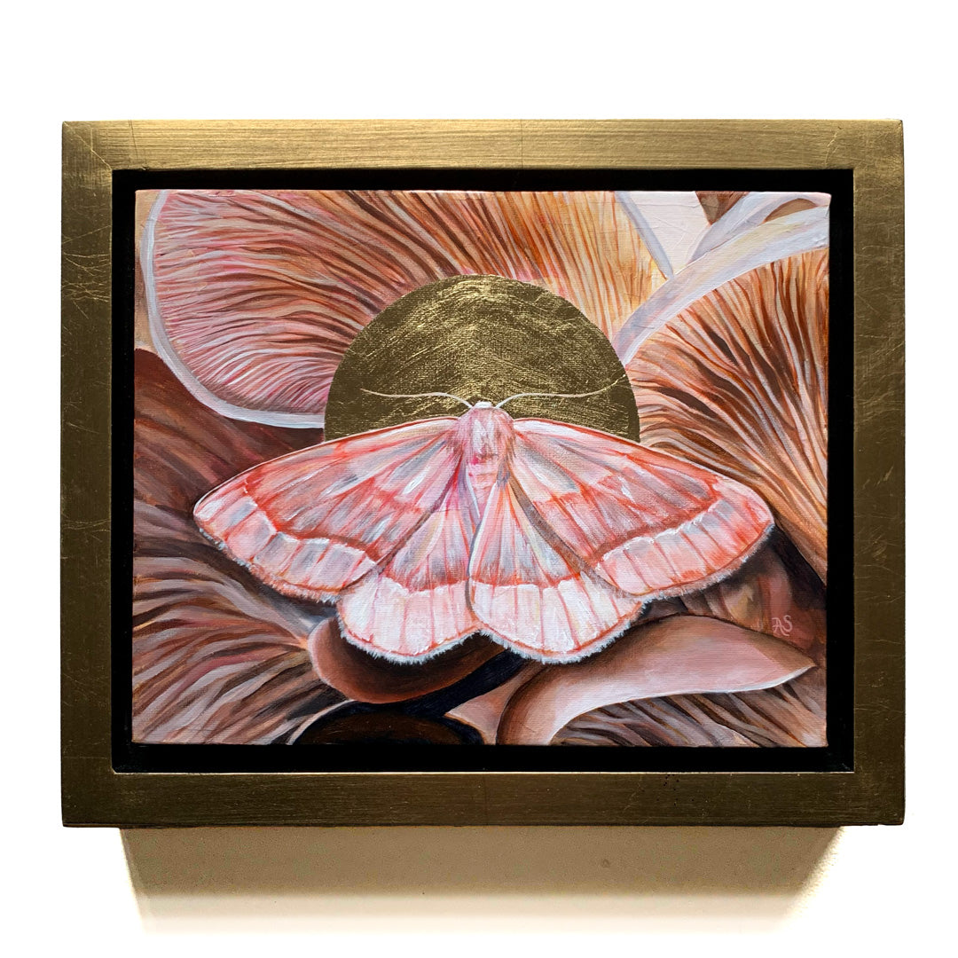 barred red moth oyster mushroom painting in gold float frame