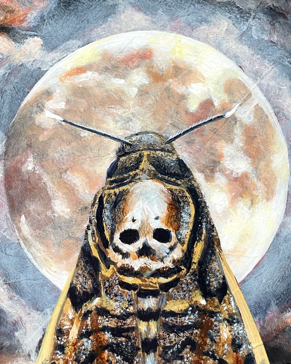 death&#39;s head moth full moon painting detail by Aimee Schreiber