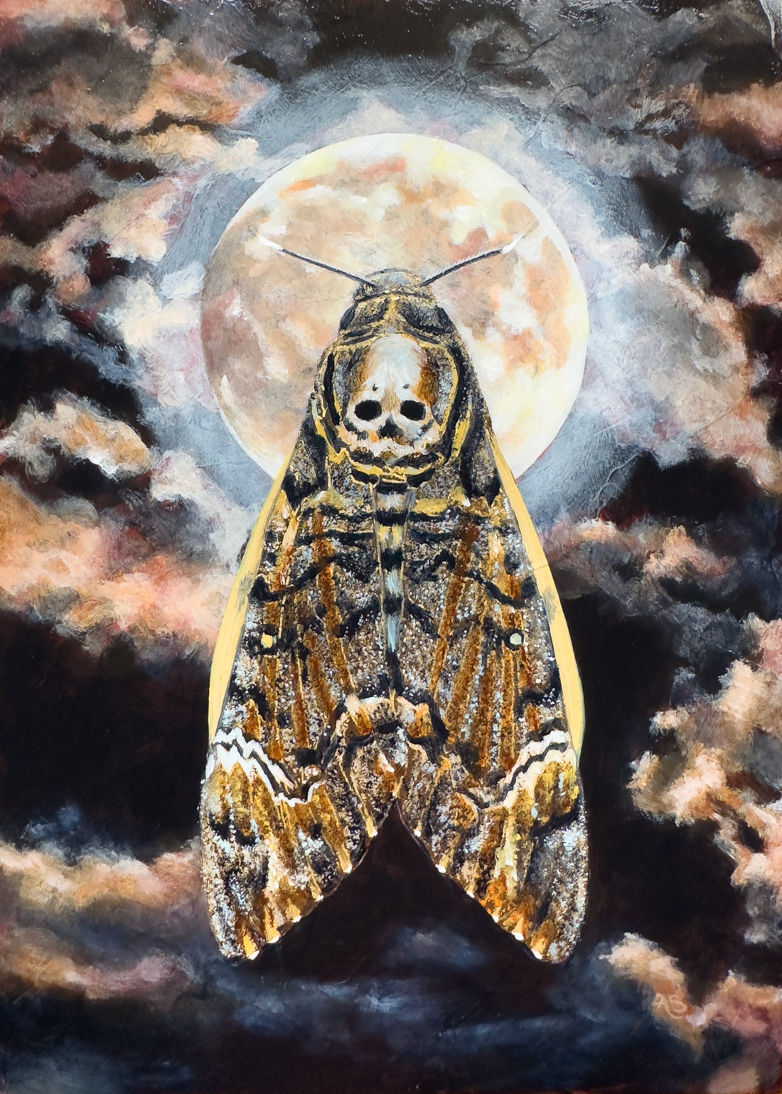 death&#39;s head moth full moon painting by Aimee Schreiber