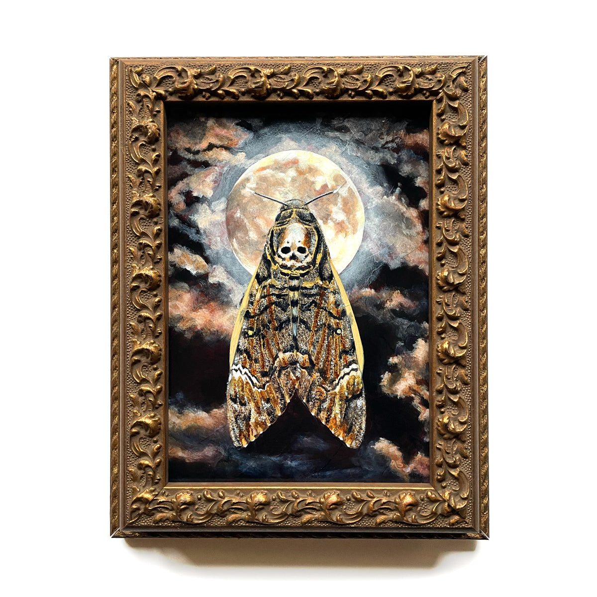death&#39;s head moth full moon painting by Aimee Schreiber