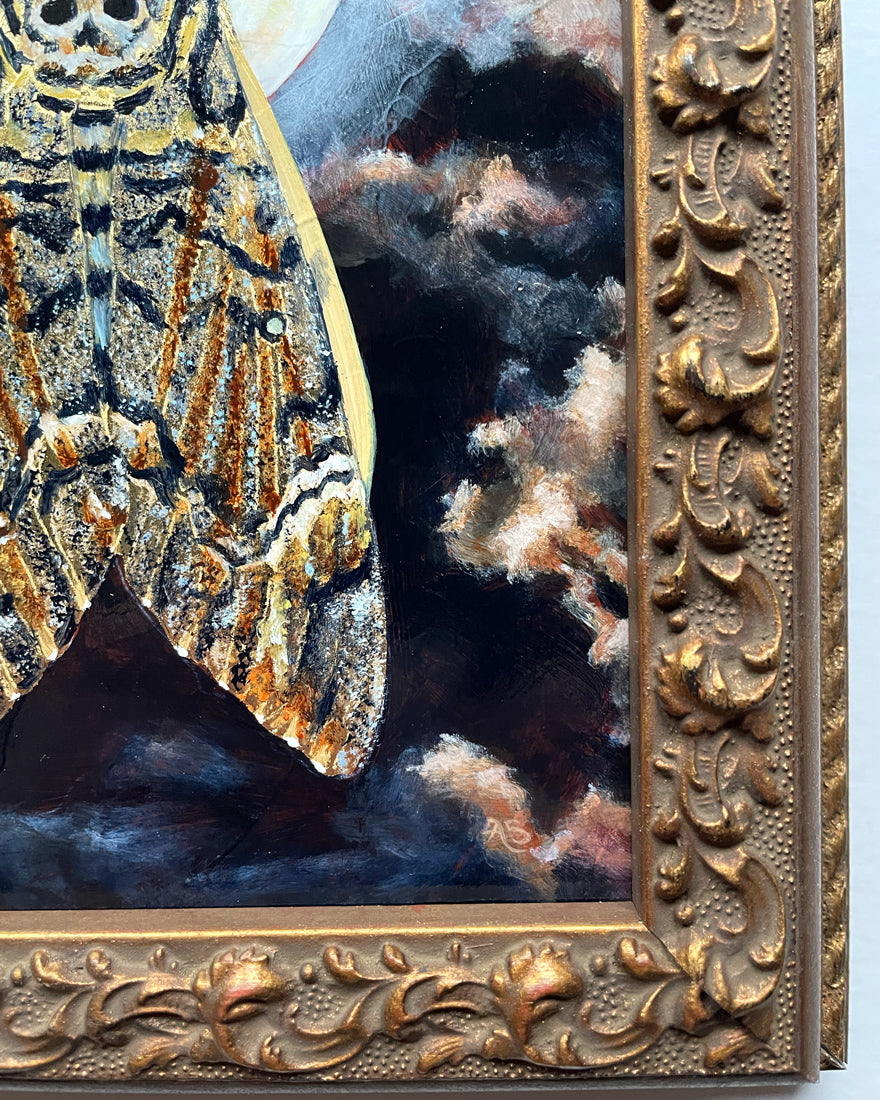 death&#39;s head moth full moon painting ornate frame detail