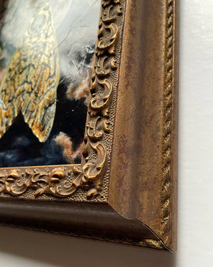 death's head moth full moon painting ornate frame detail