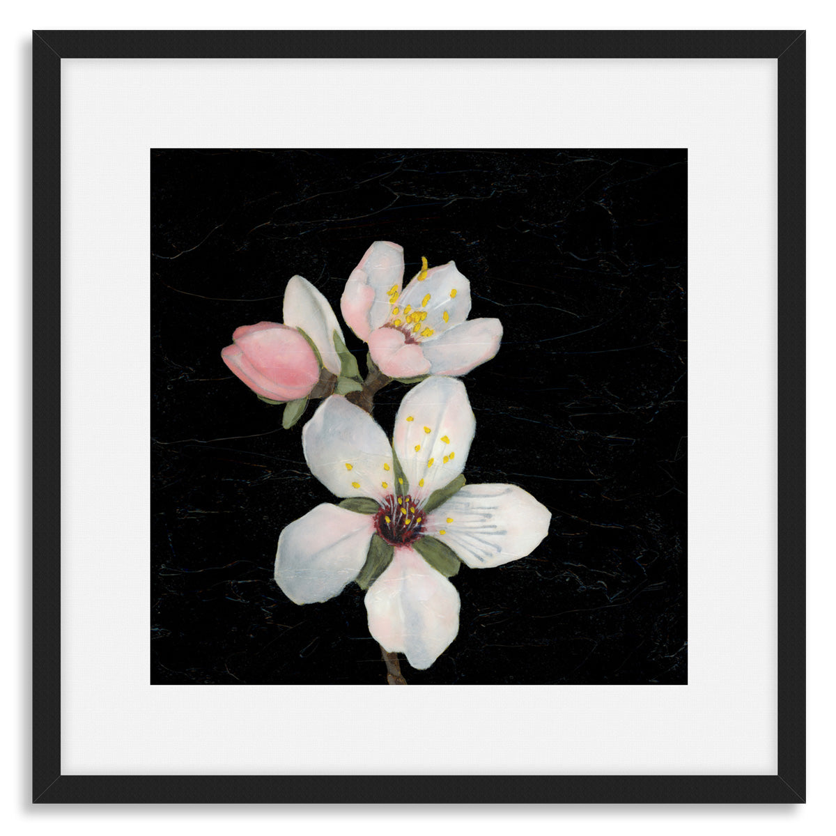 white apple blossom artwork
