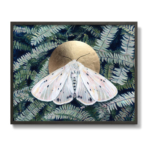 white muslin moth fern art print in black frame