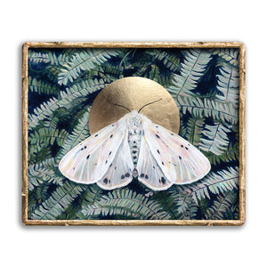 white muslin moth art print in gold frame