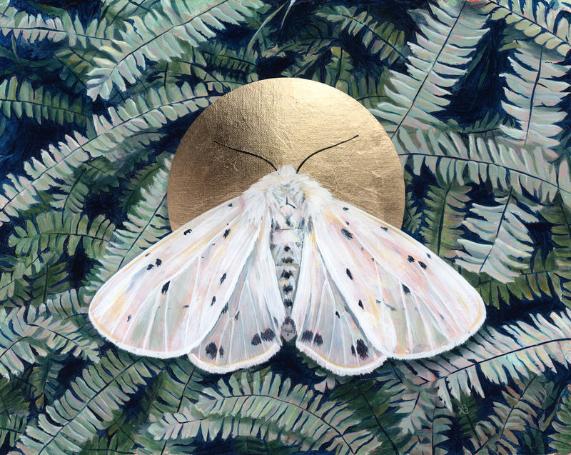 Moth Art | Butterfly Art for Wall | Art for Insect Lovers - The Copper Wolf