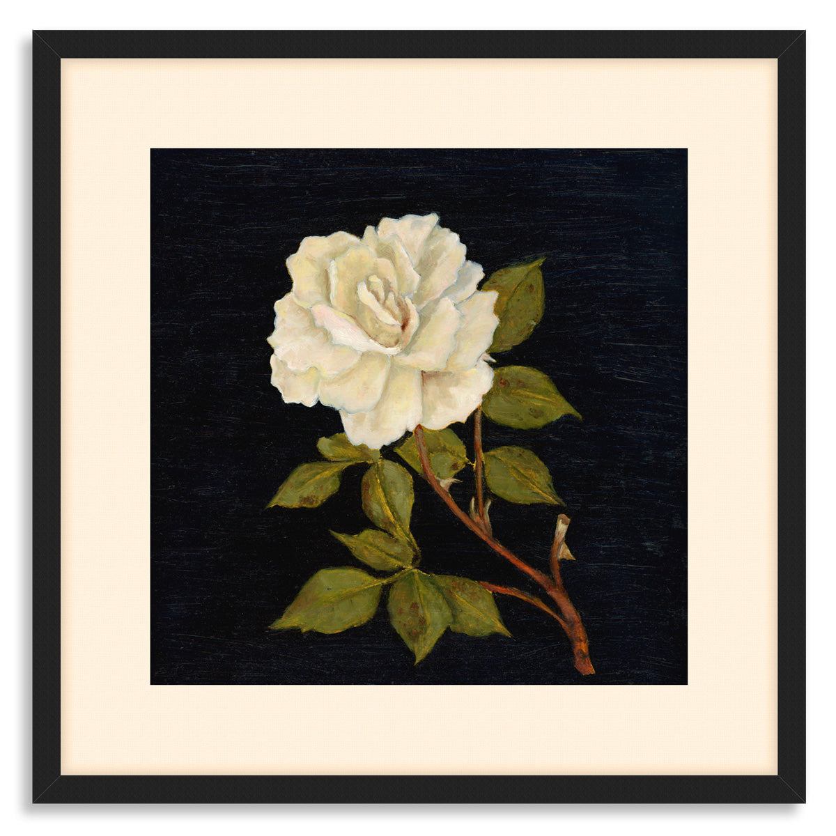 white rose art print in frame