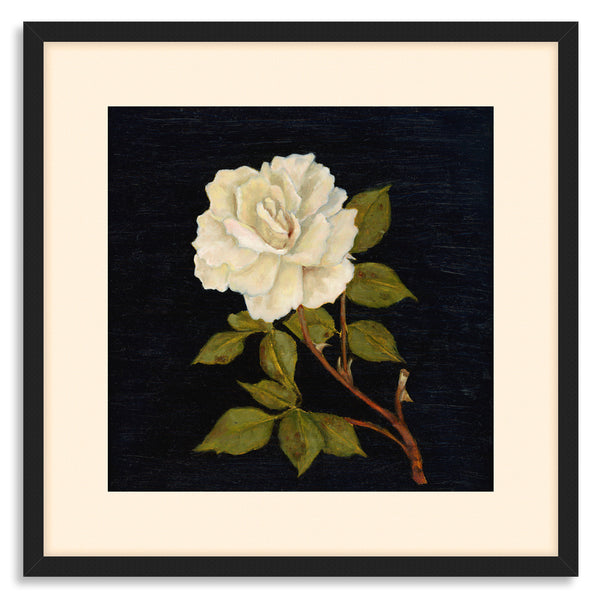 額装品/White Rose/バンクス/ポスター/アート/インテリア Yen