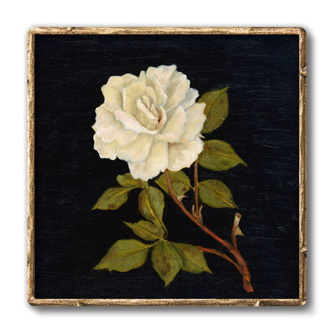 white rose art print traditional artwork