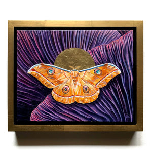 Japanese oak silkmoth purple mushroom painting in gold float frame