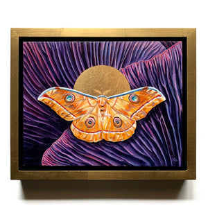 Japanese oak silkmoth purple mushroom painting in gold float frame