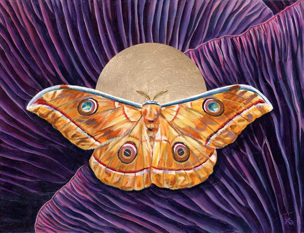 &#39;Wholeness&#39; japanese oak sillkmoth yellow moth and purple mushroom art print