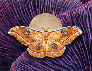 'Wholeness' japanese oak sillkmoth yellow moth and purple mushroom art print