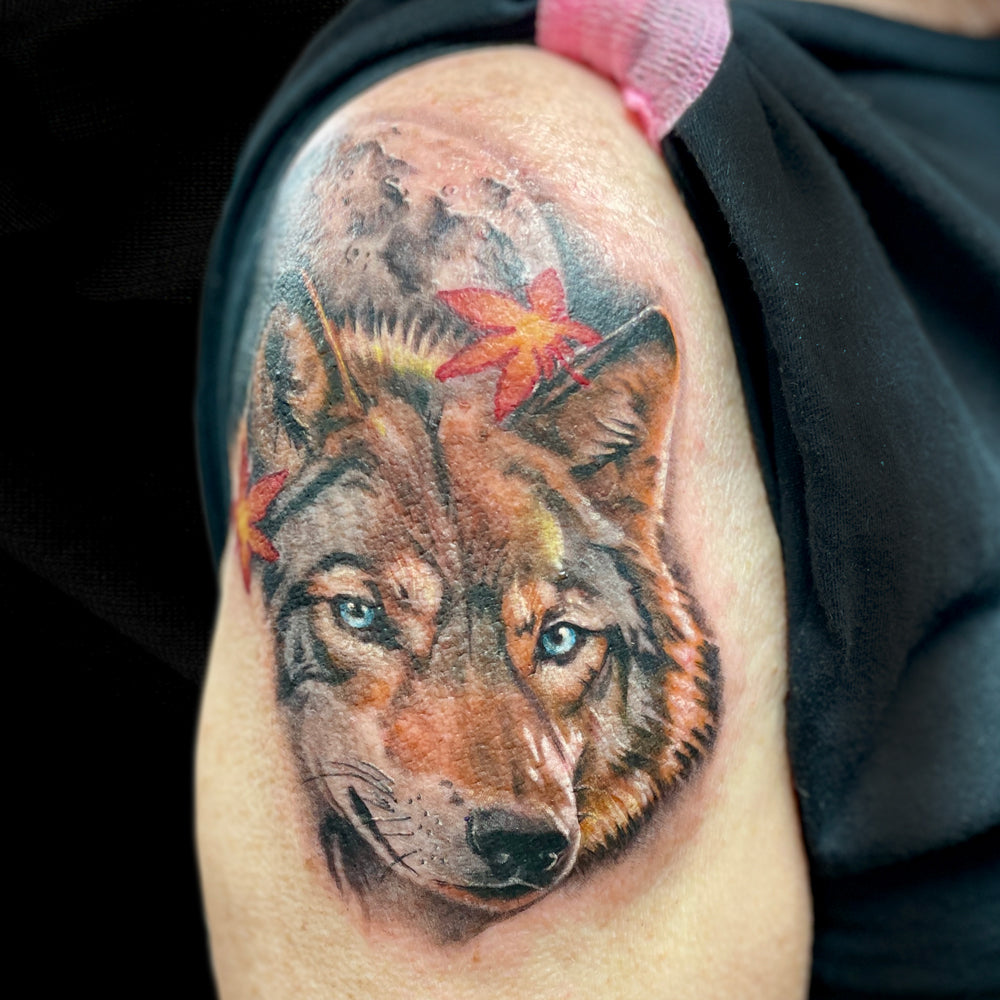 realistic wolf color tattoo by Cass Brown