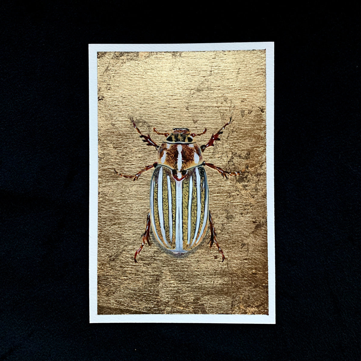 10-lined June beetle wood element painting