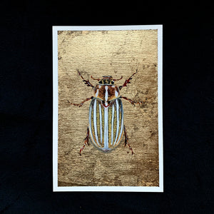 10-lined June beetle wood element painting
