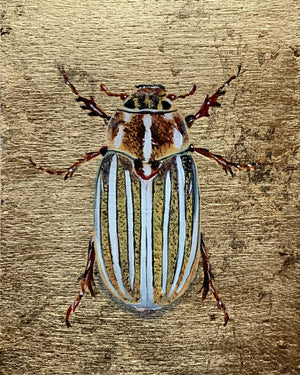 10-lined June beetle wood element painting