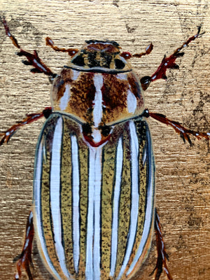 10-lined June beetle wood element painting detail