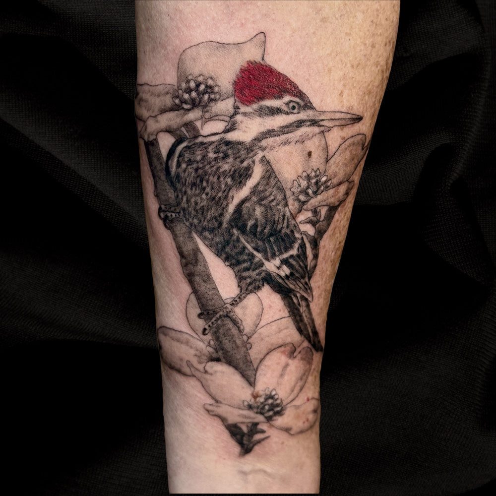 woodpecker tattoo