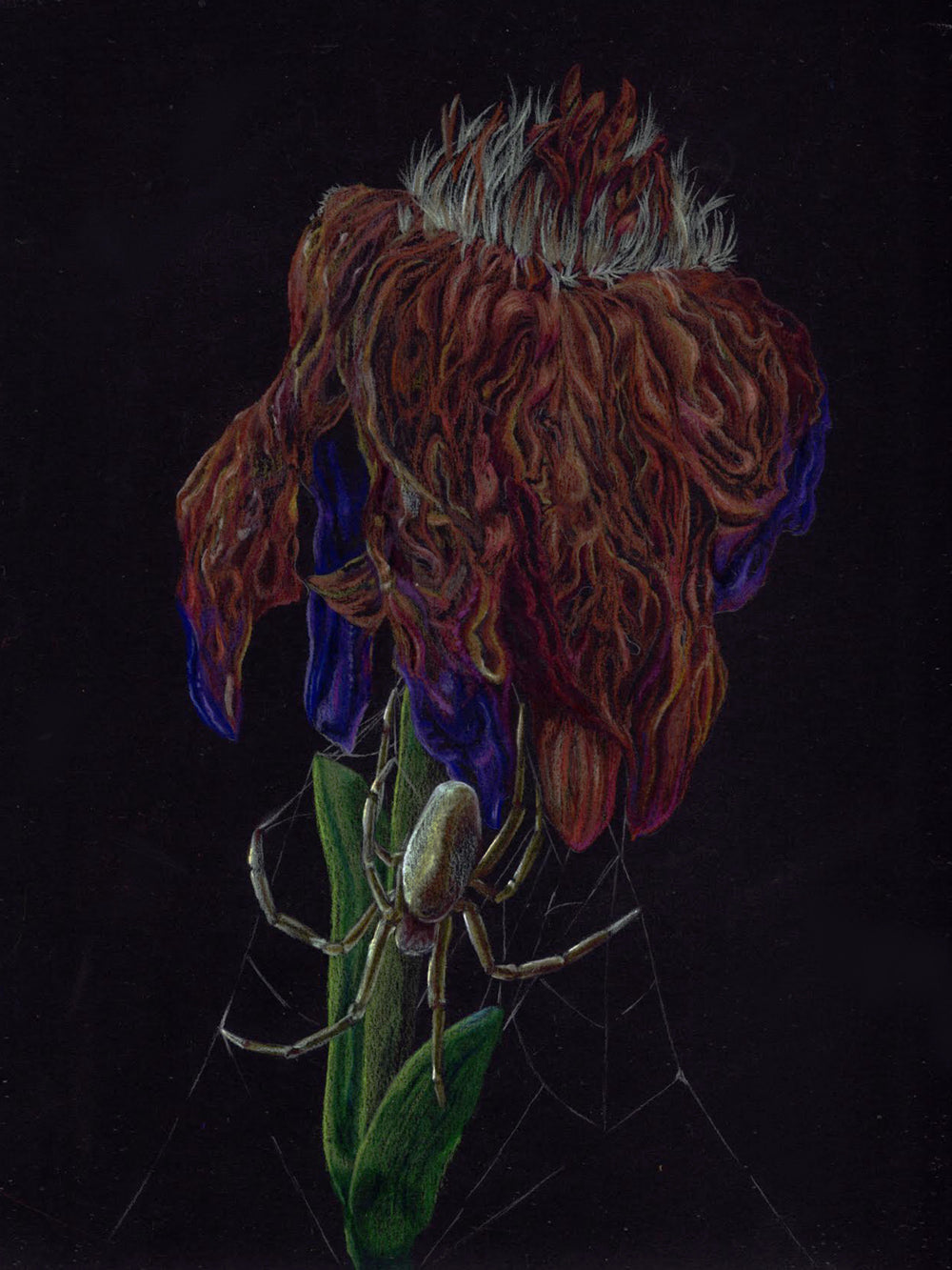 "There is Life in Death" by Zia Abraham