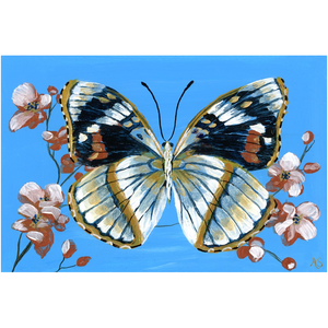 Blue Moon Butterfly Canvas Fine Art Print