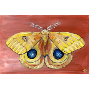 Io Moth Canvas Fine Art Print