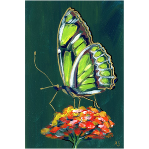 Green Butterfly Fine Art Canvas Print