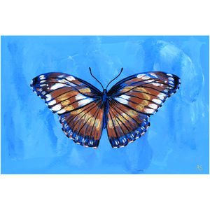 Butterfly Wind Canvas Fine Art Print