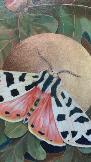 "Adoration" Tiger Moth Painting 36x48
