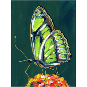 Green Butterfly Fine Art Canvas Print