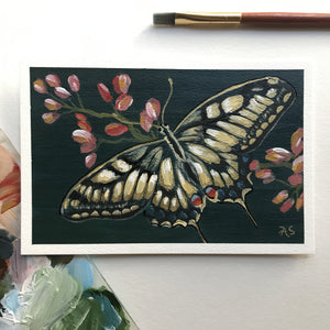 "Breezes" Butterfly Painting Poetry Postcard 4x6