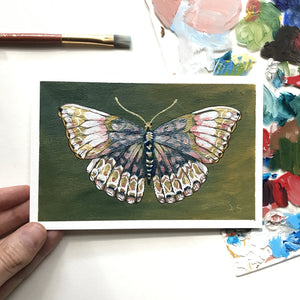 "Silk Wings" Butterfly Painting Poetry Postcard 4x6