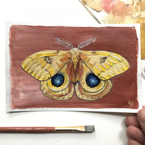 Yellow Io moth acrylic painting postcard by Aimee Schreiber