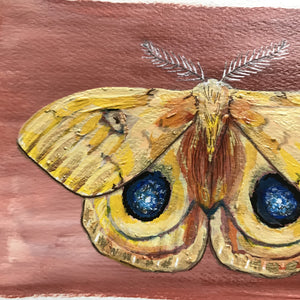 Detail Yellow Io Moth acrylic painting by Aimee Schreiber