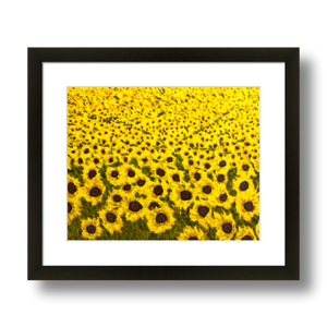 art with sunflowers print framed 10x8