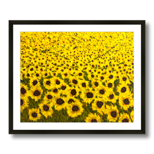 art with sunflowers print framed 20x16