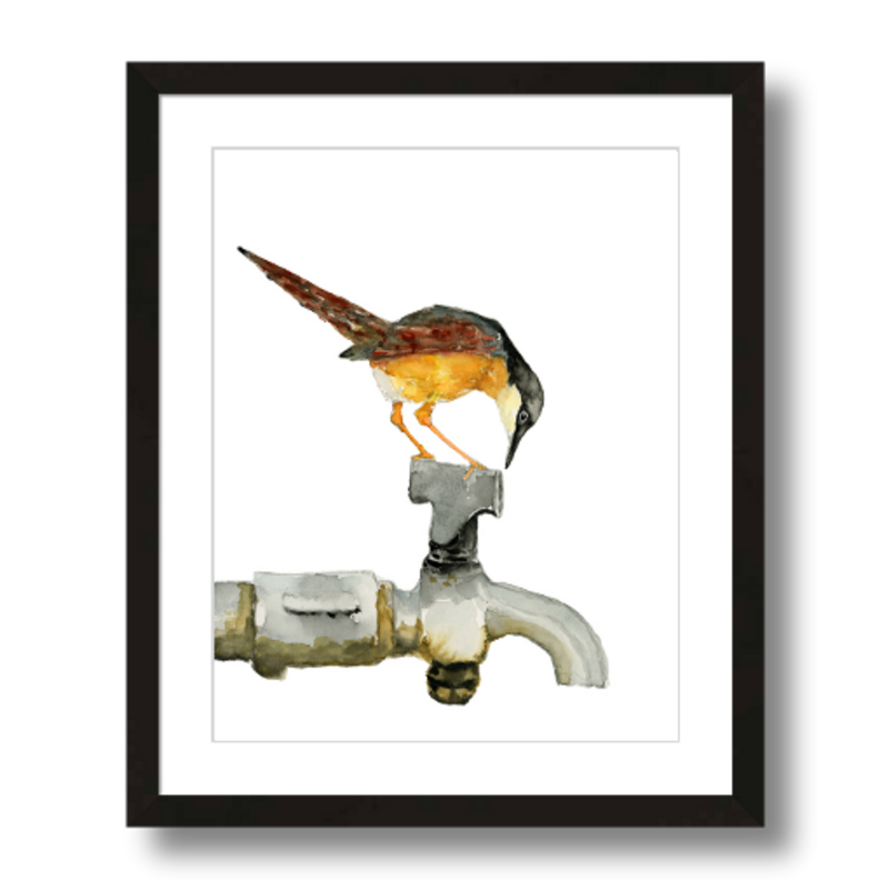 ashy prinia bird on faucet art print framed 11x14