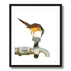 ashy prinia bird on faucet art print framed 16x20