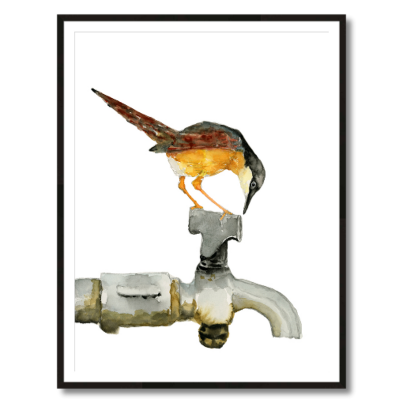 ashy prinia bird on faucet art print framed 130x40