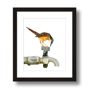 ashy prinia bird on faucet art print framed 18x10