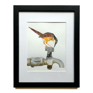 ashy prinia bird on faucet watercolor painting