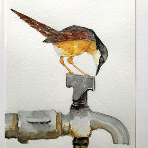 ashy prinia bird on faucet watercolor painting detail