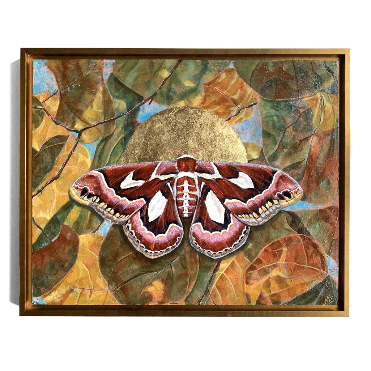 atlas moth leaf painting in gold frame by Aimee Schreiber