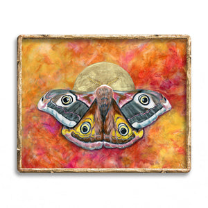 autumn emperor moth art print
